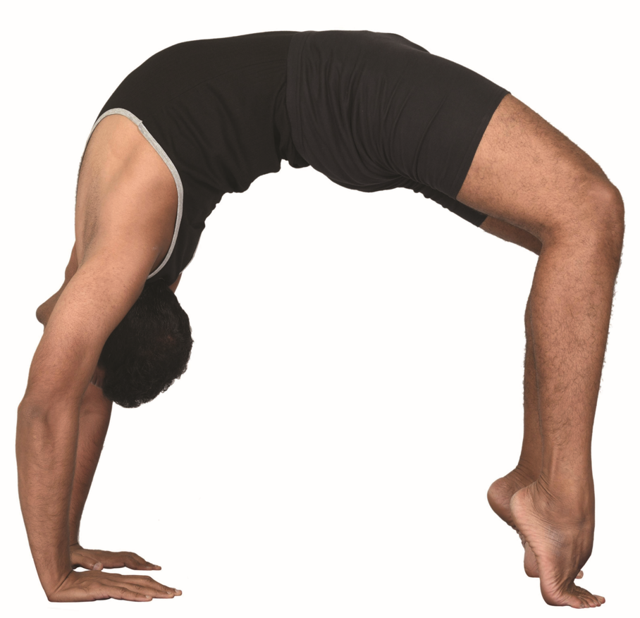 Yoga Asanas 10